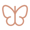 icon ph butterfly light