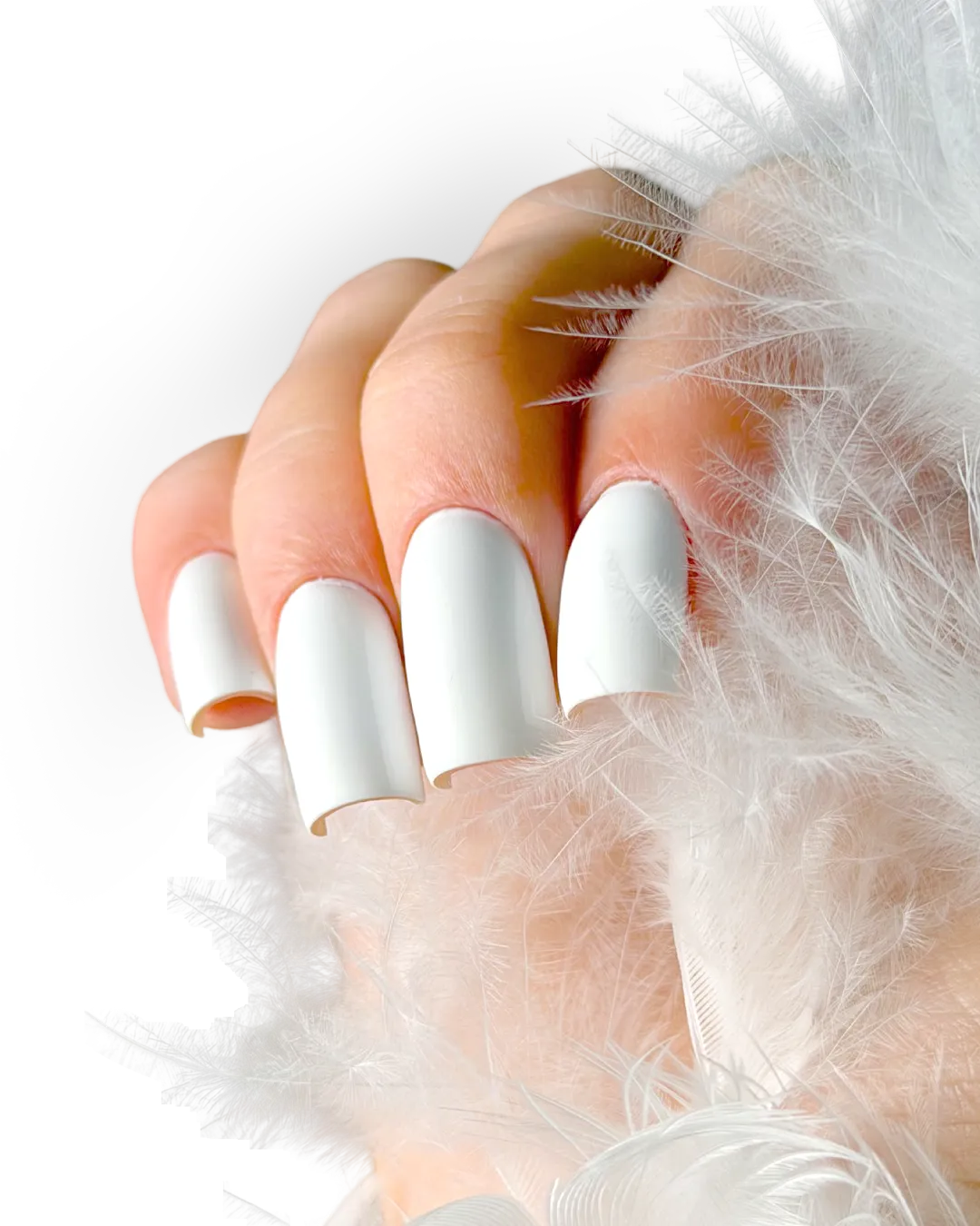 nails line6